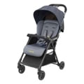 Reisebuggy