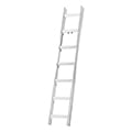 Dachleiter