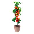 Obstbaum