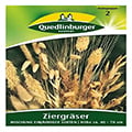 Ziergras
