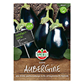 Auberginensamen