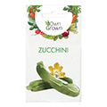 Zucchinisamen