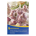 Pflanzknoblauch
