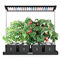 Indoor-Garten