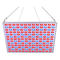Pflanzenlampe