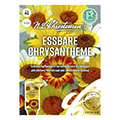 Chrysantheme