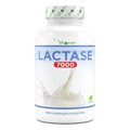 Laktase-Tablette