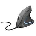 ergonomische Maus