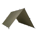 Tarp
