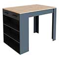 Bartisch