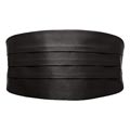 Kummerbund