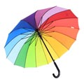 Regenschirm