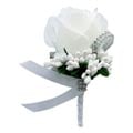 Ansteckblume