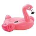 Schwimmtier