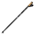 Nordic-Walking-Stock