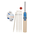Cricket