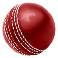 Cricketball