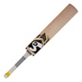 Cricketschläger