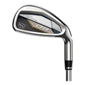 Damen-Golf-Eisensatz