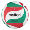 Hallenvolleyball