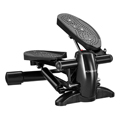 Mini-Stepper
