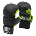 Karate-Handschutz
