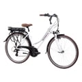 Damen-E-Bike