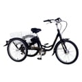 E-Bike-Dreirad