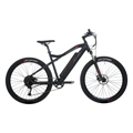 Herren-E-Bike