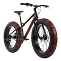 Fatbike