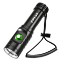 Tauchlampe