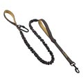 elastische Hundeleine