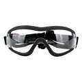 Hundebrille