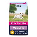 Welpenfutter