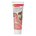 Katzenpaste