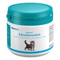 Kittenmilch