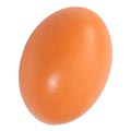 Brutei