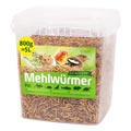 getrockneter Mehlwurm