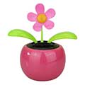 Wackelblume