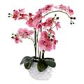 künstliche Orchidee