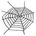 Spinnennetz