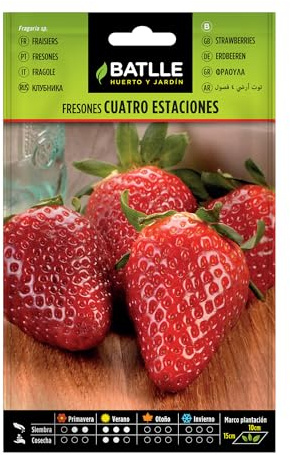 Batlle aromatic seeds - Strawberries 4 seasons (Seeds - 8cm)