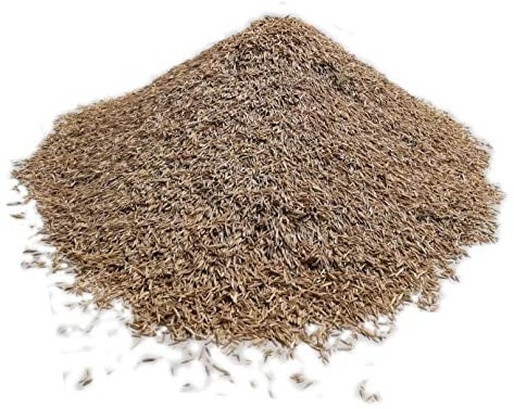 Samenshop24® traumhafter Zierrasen 1kg englischer Rasen (RSM 1.1.2)