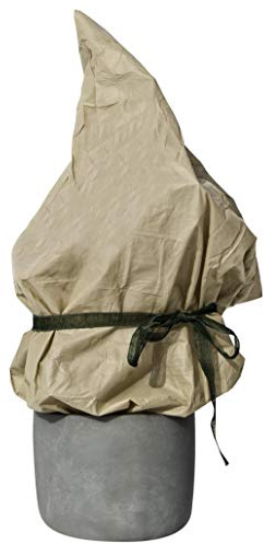 Windhager Winter-Vlies SUPERPROTECT, Kälteschutz Frostschutz Gartenvlies Gartenfolie Abdeckvlies, Schutz vor Einfrieren und Austrocknen, beige, 2 x 5 m, 30g/m², 06258