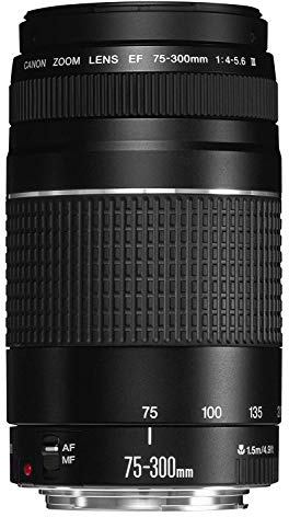Canon 6473A003(AA) fix Objektiv EF DC 4,0-5, 6/75-300 III