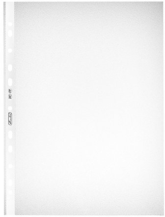 Herlitz 5814108 Prospekthülle A4 genarbt 100er Packung mit Lochrandverstärkung