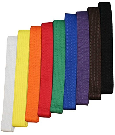 S.B.J - Sportland Budogürtel/Kampfsportgürtel gelb, 240 cm