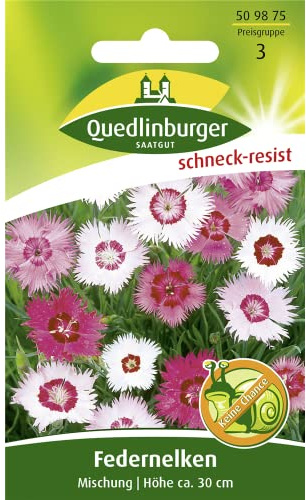 Quedlinburger