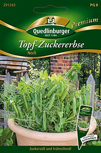 Quedlinburger 291243 Topf-Zuckererbsen Norli (Zuckererbsensamen)