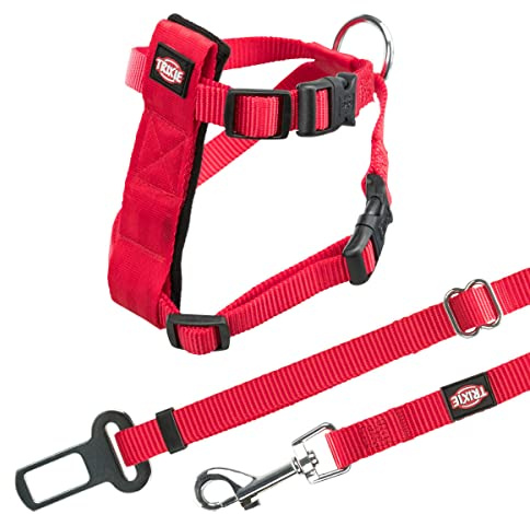 Gurt und Gürtel Sicherheit Katzen, 20 – 50 cm, Rot